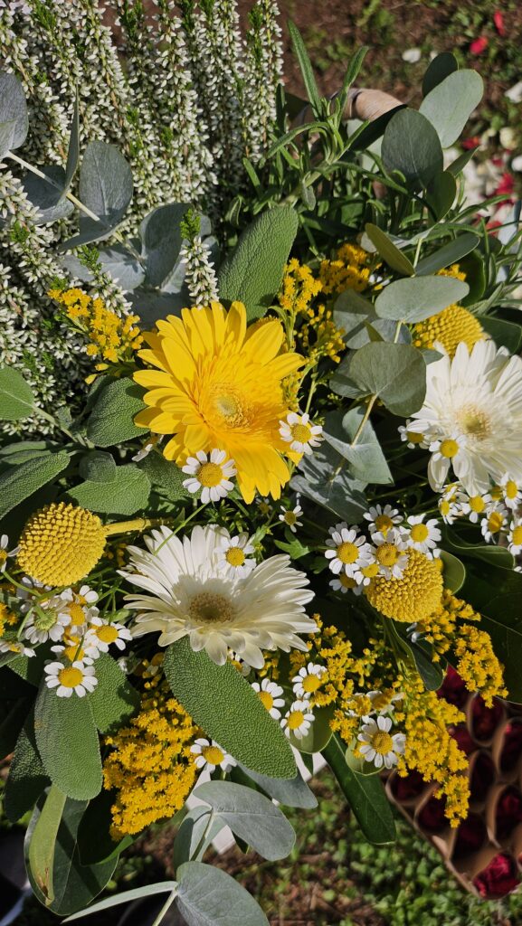 wedding weekend bergamo